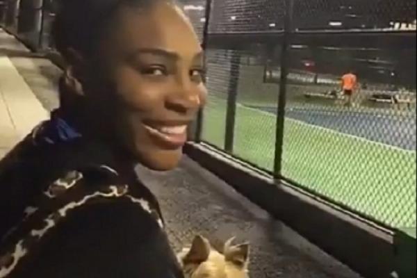 Serena thách đấu hai tay vợt vô danh khi đang đi dạo ở Mỹ